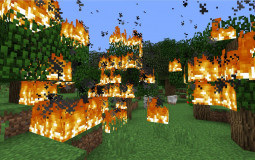 Launcher Fenix Servers